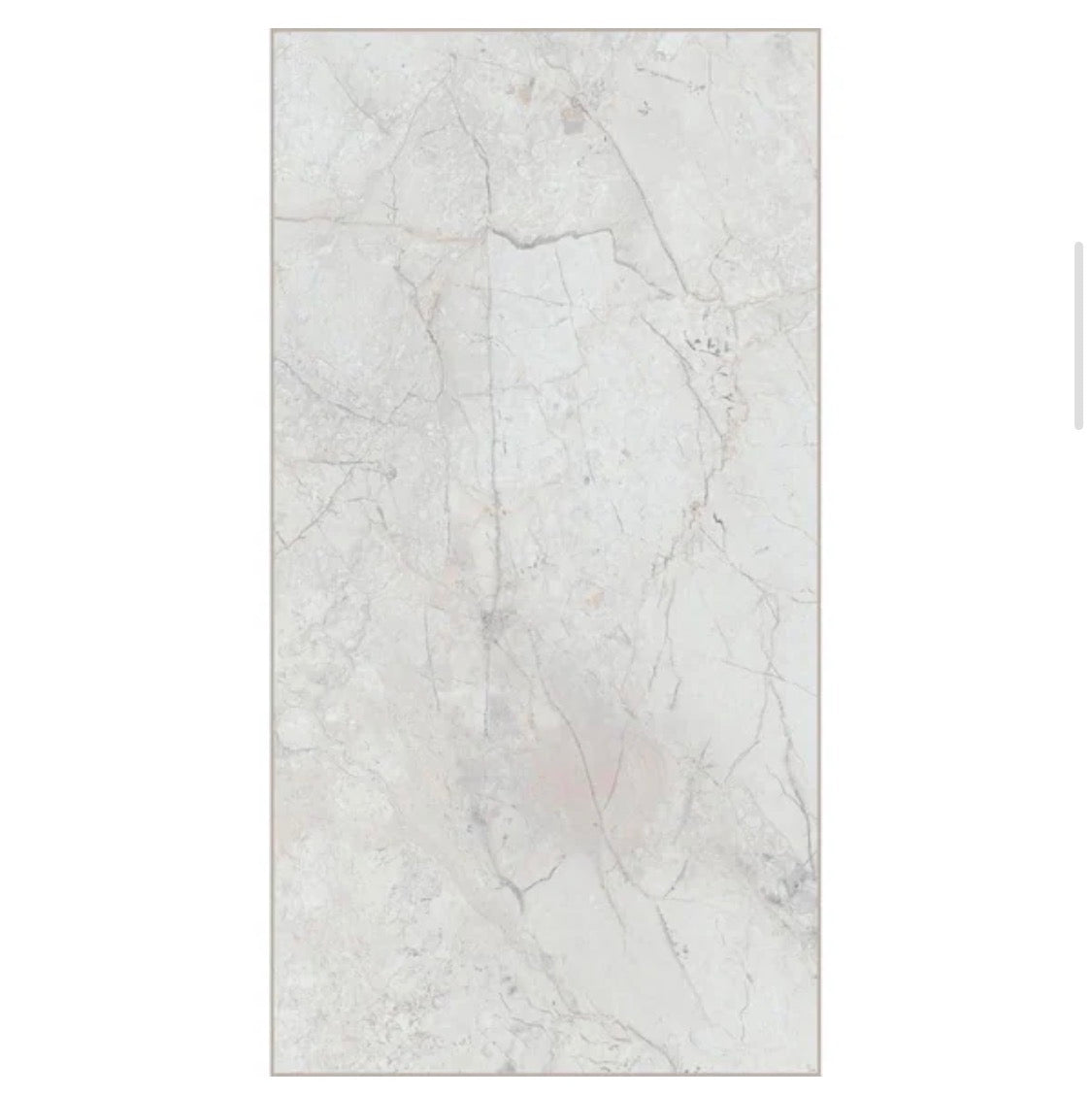 Lifeproof
Blauser Marble 22 MIL x 11.9 in. W × 23.8 in. L Click Lock Waterproof Vinyl Tile Flooring (17.7 sq. ft./Case)